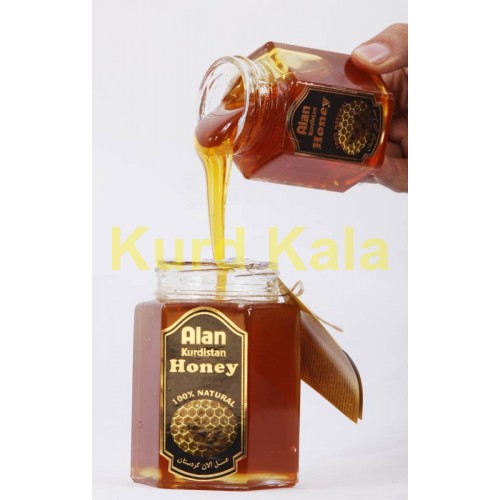 عسل طبیعی آلان کردستان 500گرم