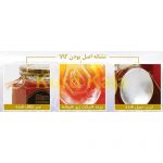عسل طبیعی آلان کردستان 500گرم