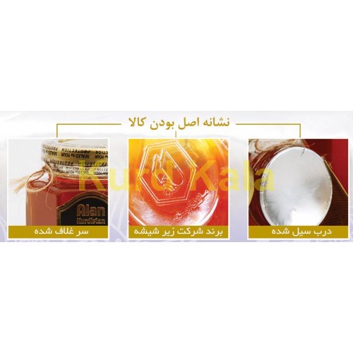 عسل طبیعی آلان کردستان 500گرم