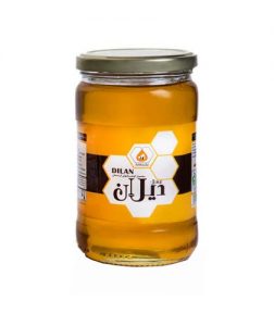 عسل طبیعی دیلان کردستان ۹۰۰ گرم