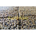 شیرینی سنتی کنجد گزانگبین 400 گرمی سوغات سنندج