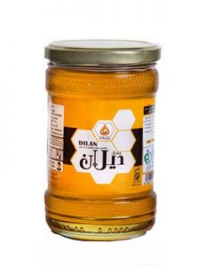 عسل طبیعی دیلان کردستان 700 گرم