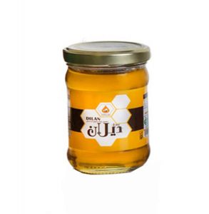 عسل طبیعی دیلان کردستان 300گرم