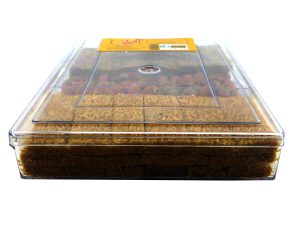 مخلوط شیرینی کنجد و بادام سوخته سوغات سنندج