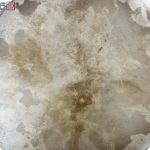 دف پوستی ابروبادی قهوه ای استاد حیدر محمدی طرح کمانه ساده