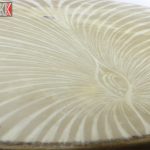 دف پوستی طاووسی استاد حیدر محمدی کمانه غوغا