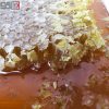 عسل طبیعی با موم ملکه دولاب کردستان 1 کیلو