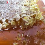 عسل طبیعی با موم ملکه دولاب کردستان 1 کیلو