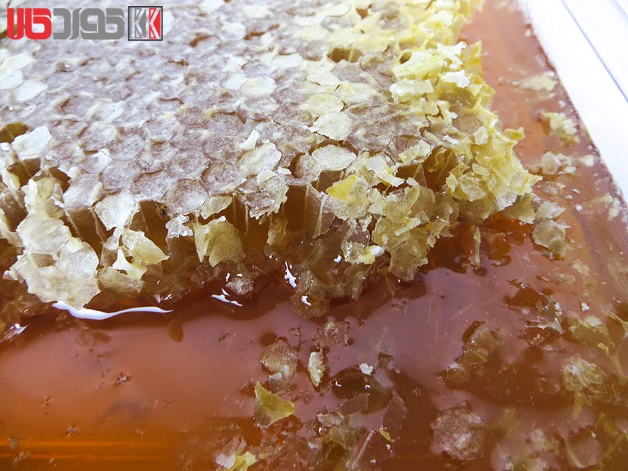 عسل طبیعی با موم ملکه دولاب کردستان 1 کیلو عسل طبیعی با موم ملکه دولاب کردستان 1 کیلو